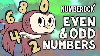 Even and Odd Numbers Song for Kids | Odds and Evens for Grades 2 & 3