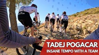 These guys are too FAST | UAE Team climbing Col de Rates