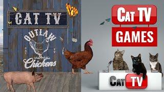 CAT TV |  OUTLAW CHICKENS | Cat Games 4K | Videos For Cats | Rats, Bugs and Butterflies | 3 Hours
