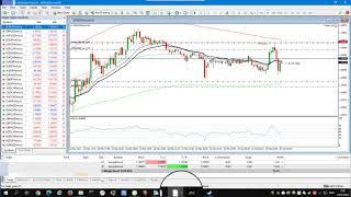 Forex EA Real Trading ( Final ) | บอทเทรด | Passive income