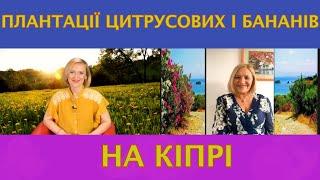 Про вирощування цитрусових та інших фруктів розповідає Надія БАЗІВ