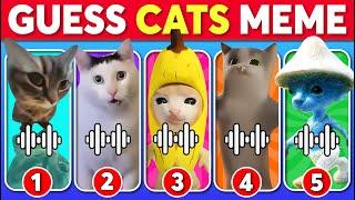 GUESS CATS MEME | Chipi Chipi Chapa Chapa Cat, Smurf Cat, Banana Cat, Happy Cat