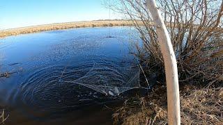 рыбалка на паук подъёмник рыба прёт