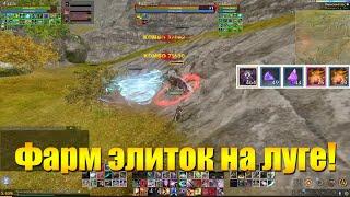 ARCHEAGE 9.5 - ФАРМ ЭЛИТОК НА ВЕЛИКОМ ЛУГЕ [КОМФОРТНЫЙ ФАРМ]!