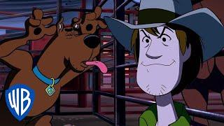 Scooby-Doo! | Shaggy & Scooby: The Bronco Pros  | WB Kids