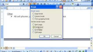 Word 2003 Tutorial Working with Page and Section Breaks Microsoft Training Lesson 7.1