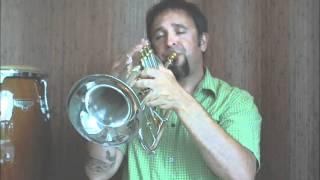 Flugelhorn Introduction