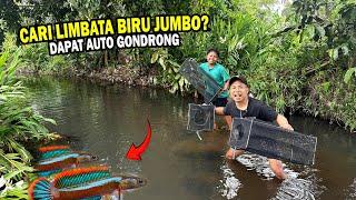 CARI LIMBATA BIRU GONDRONG JUMBO? PASANG 3 PERANGKAP JARING KOTAK DI SUNGAI