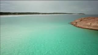 Shark filmed in Esperance WA