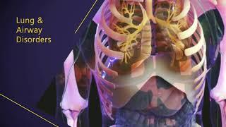 The Respiratory System | Merck Manual Consumer