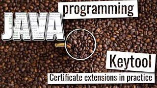 Certificate extensions with Java Keytool, practical example