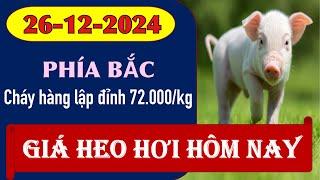 Giá hoe hơi hôm nay ngày 26/12/2024 - Cháy hàng khi chợ đạt 72.000 đồng/kg