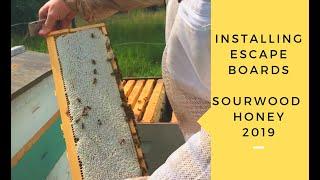 Putting on Escape Boards for the Sourwood Honey Pull