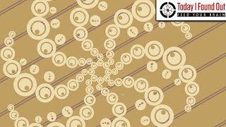 How the Crop Circle Phenomenon Got Started