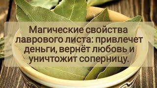 Магические свойства лаврового листа: лавр привлечет деньги, вернет любовь и уничтожит соперницу.