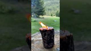 Survival skills: a Candle in the Ground ️#survival #bushcraft #outdoors #camping