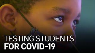 Will COVID-19 Testing at Schools Keep Students Safe?