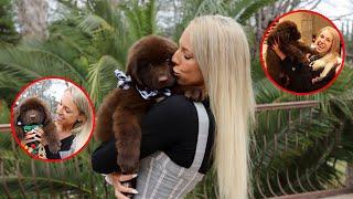 PUPPY SURPRISE!! | Kaelin And Her Pups 029
