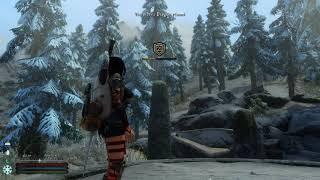 Recorder and her thoughts (Modded Skyrim Gameplay Recorder Follower)