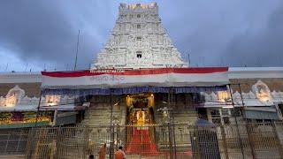 Peaceful Morning At Tirumala Sri Venkateswara Swamy Temple Today