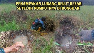 JANJI KUAT BONGKAR RUMPUTNYA PASTI DAPAT BESAR BESAR MANCING BELUT DI TEMPAT INI