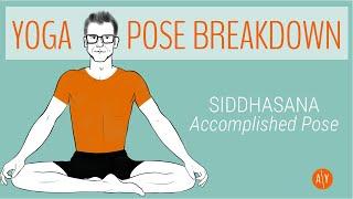 Yoga Pose Breakdown | Siddhasana aka Accomplished Pose | Adventure Yoga with Stephen Ewashkiw