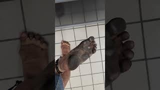 Barefoot the best dirty soles #barefoot #barefooter barefootlifestyle #dirtysoles