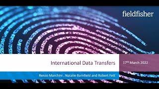 Privacy Webinar Series: International Data Transfers