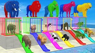 Cow Elephant Lion Gorilla Tiger T-Rex Choose The Right Baby ESCAPE ROOM CHALLENGE Animals Cage Game