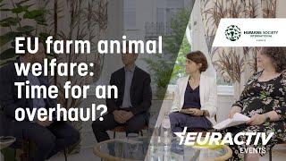 EU farm animal welfare: Time for an overhaul?