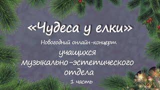 Новогодний концерт Чудеса у елки 1 ч  ДМШ №1 им  Е Д  Аглинцевой