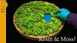 Moss Wall Art with Resin -  Lake in the Forest.  Great for beginners!
