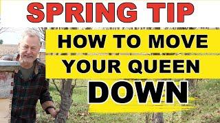 Beekeeping Spring Tip: How To Move Your Queen Down