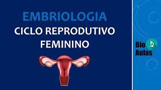 Ciclo Reprodutivo Feminino: GnRH, Estrogênio, Progesterona, Corpo Lúteo - Embriologia Humana)