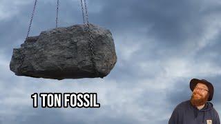 1-ton dinosaur-aged fossil - a rescue mission