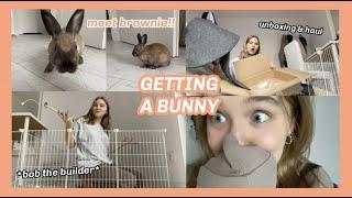 GETTING A BUNNY + setting up