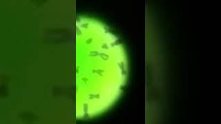 Chromosomes-Under Microscope-Human Genetic