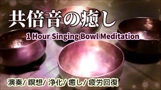 【演奏1時間 チベットシンギングボウル】 共倍音ヒーリングサウンド～瞑想  浄化  癒し  疲労回復