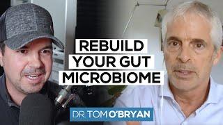 A Comprehensive PROTOCOL for HEALING Your GUT MICROBIOME | Dr. Tom O'Bryan