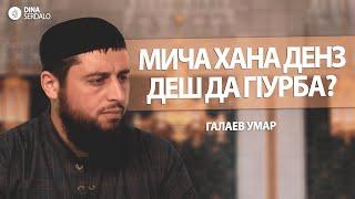 «Мича хана денз деш да гlурба?» — Галаев Умар