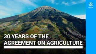 30 years of the Agreement on Agriculture