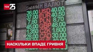 Долар уже по 40. Експерт спрогнозував, наскільки впаде гривня – ТСН