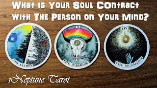 WHAT IS YOUR SOUL CONTRACT WITH THE PERSON ON YOUR MIND?  Timeless Pick a Card Tarot Reading 🃏