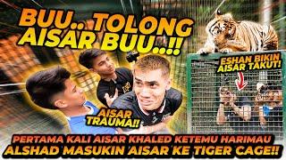 AISAR KHALED KENA MENTAL DIMASUKIN KE TIGER CAGE ?! SATWA2 DIAJAK TINJU SEMUA !!