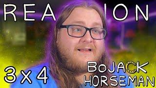 BoJack Horseman 3x4 REACTION!! "Fish Out of Water"