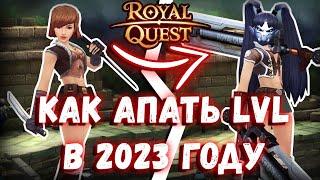 Royal Quest |MMO RPG| Из грязи в князи #3 | Лучший способ прокачки в 2023 году