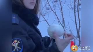 Красноярские полицейские задержали закладчицу из Новосибирска, приехавшую в регион с 2 кг мефедрона