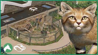 Sand Cat Habitat | Elm Hill City Zoo | Planet Zoo