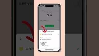 Как оплатить за товар WeChat pay вичат пиндуодуо PinDuoDuo