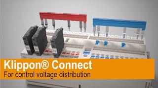 Klippon® Connect for control voltage distribution – Safe wiring for consumers in the panel